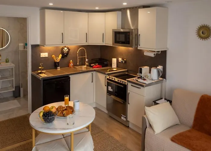 La Demeure Du Soleil T2 Cosy, Clim,wifi, Castillet 15 Min, Parking Facile شقة بيربينيو